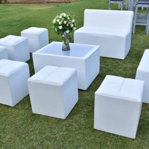 Sala Lounge Clasica 10 personas