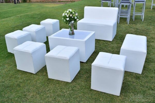 Sala Lounge Clasica 10 personas
