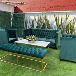 Sala Chic Verde 8 personas